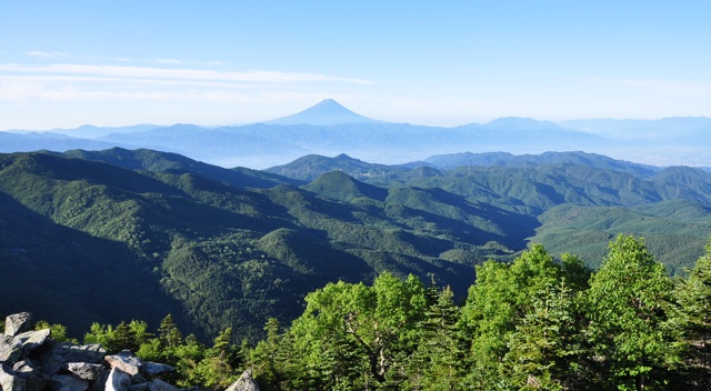 fuji .jpg